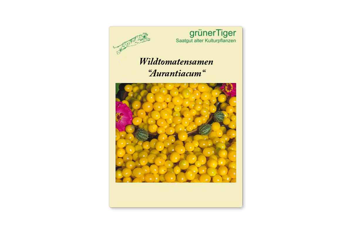 Samen fÃ¼r Gelbe Wildtomate Aurantiacum