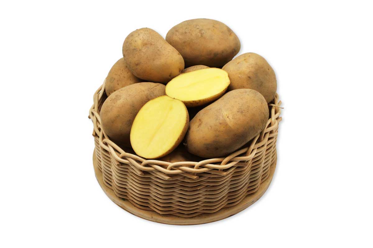 Belana Kartoffeln